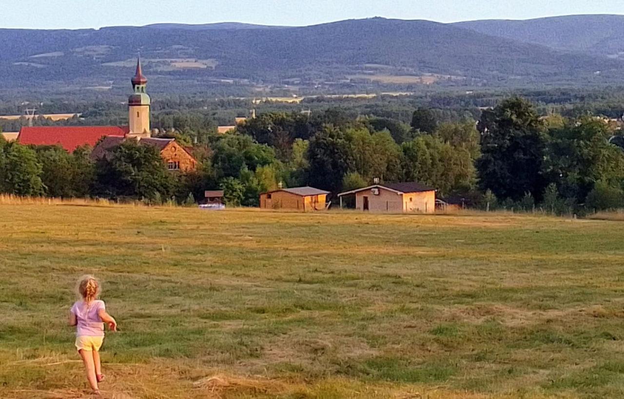 Domek W Gorach Izerskich 4 I 6 Osobowy, Agroturystyka, Zywe Zwierzeta, W Pelni Wyposazone, Plac Zabaw Dla Dzieci, Ognisko Z Kijkami I Rusztem, Ogrzewanie I Klimatyzacja, Latem Basen Mirsk Εξωτερικό φωτογραφία