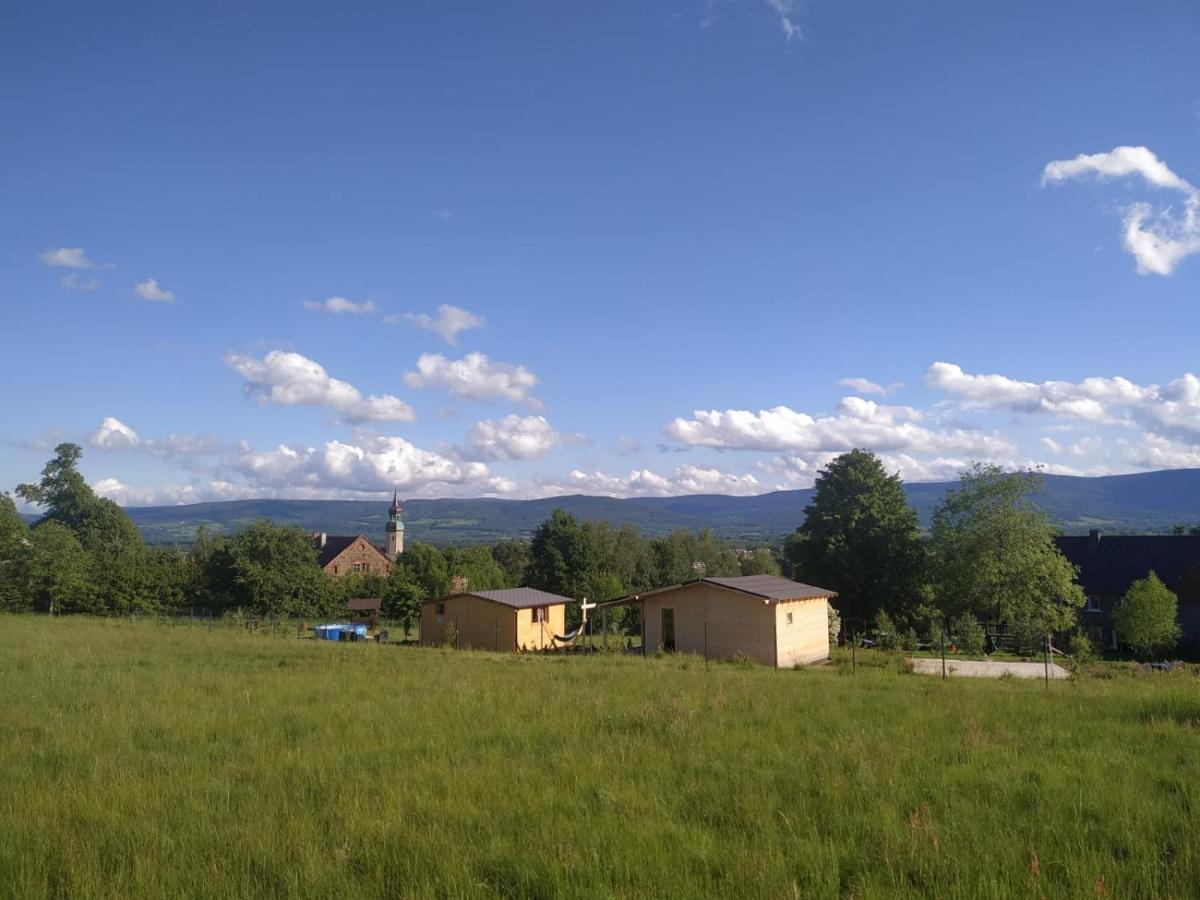 Domek W Gorach Izerskich 4 I 6 Osobowy, Agroturystyka, Zywe Zwierzeta, W Pelni Wyposazone, Plac Zabaw Dla Dzieci, Ognisko Z Kijkami I Rusztem, Ogrzewanie I Klimatyzacja, Latem Basen Mirsk Εξωτερικό φωτογραφία