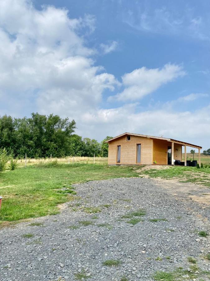 Domek W Gorach Izerskich 4 I 6 Osobowy, Agroturystyka, Zywe Zwierzeta, W Pelni Wyposazone, Plac Zabaw Dla Dzieci, Ognisko Z Kijkami I Rusztem, Ogrzewanie I Klimatyzacja, Latem Basen Mirsk Εξωτερικό φωτογραφία
