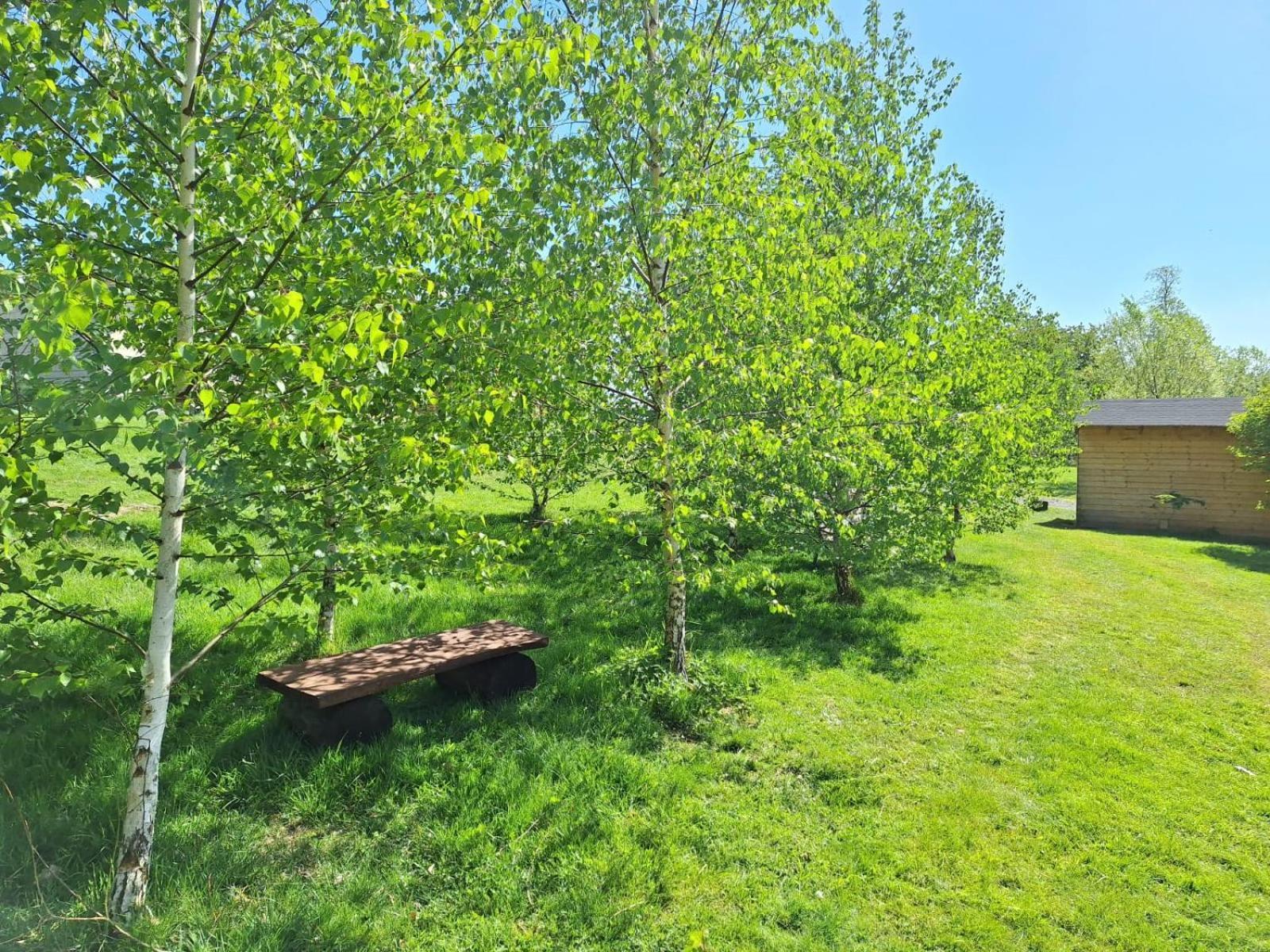 Domek W Gorach Izerskich 4 I 6 Osobowy, Agroturystyka, Zywe Zwierzeta, W Pelni Wyposazone, Plac Zabaw Dla Dzieci, Ognisko Z Kijkami I Rusztem, Ogrzewanie I Klimatyzacja, Latem Basen Mirsk Εξωτερικό φωτογραφία